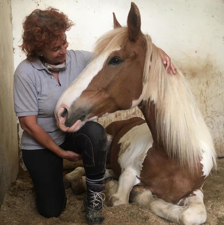 Centro Equestre EHWAZ