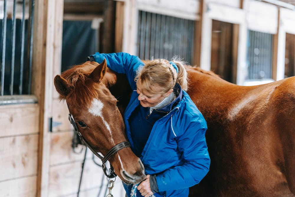 Donna accarezza un cavallo marrone